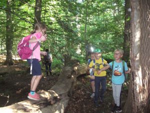 Abenteuerpfad Wald ;)